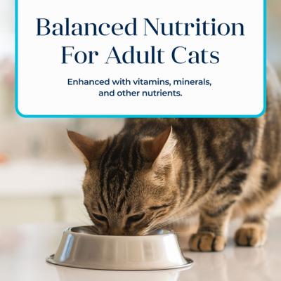 Show full view: Blue Buffalo Basics Skin & Stomach Care Grain-Free Fish & Potato Entree Indoor Adult Canned Cat Food, 3-oz, case of 24 slide 8 of 12