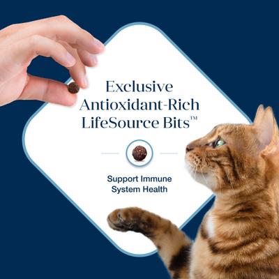 Show full view: Blue Buffalo Basics Skin & Stomach Care Grain-Free Fish & Potato Recipe Dry Cat Food, 11-lb bag slide 8 of 12