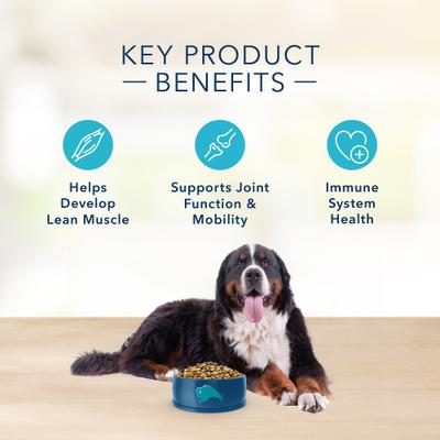 Show full view: Blue Buffalo Basics Skin & Stomach Care Grain-Free Formula Lamb & Potato Recipe Large Breed Adult Dry Dog Food, 22-lb bag slide 7 of 12