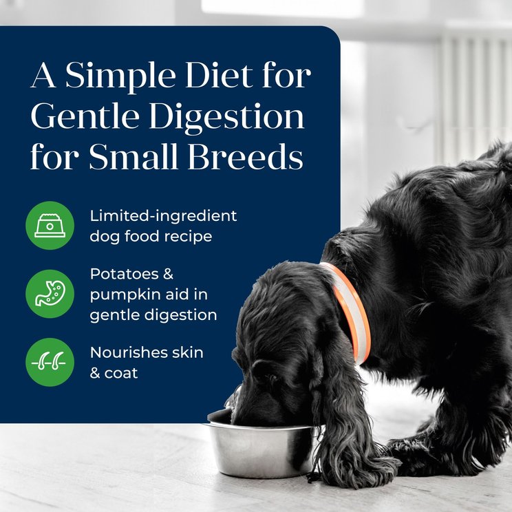 Deals on Science-Backed Dog Food - Free shipping | Chewy