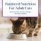 Show in main carousel: Blue Buffalo Basics Skin & Stomach Care Grain-Free Turkey & Potato Entree Indoor Adult Canned Cat Food, 3-oz, case of 24 slide 8 of 12