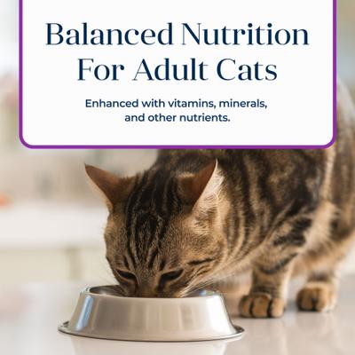 Show full view: Blue Buffalo Basics Skin & Stomach Care Grain-Free Turkey & Potato Entree Indoor Adult Canned Cat Food, 3-oz, case of 24 slide 8 of 12