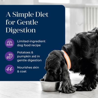 Show full view: Blue Buffalo Basics Skin & Stomach Care Grain-Free Turkey & Potato Recipe Canned Dog Food, 12.5-oz, case of 12 slide 4 of 12