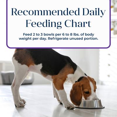 Show full view: Blue Buffalo Basics Skin & Stomach Care Grain-Free Turkey & Potato Small Breed Adult Wet Dog Food, 3.5-oz, case of 12 slide 10 of 12