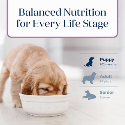 Show full view: Blue Buffalo Basics Skin & Stomach Care Puppy Turkey & Potato Recipe Dry Dog Food, 24-lb bag slide 9 of 12