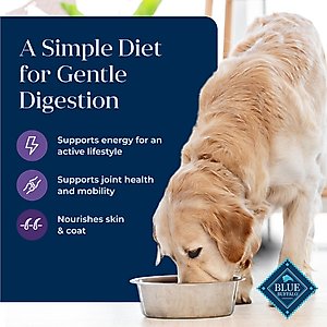 Blue Buffalo Basics Skin & Stomach Care Turkey & Potato Recipe Senior Dry Dog Food, 24-lb bag