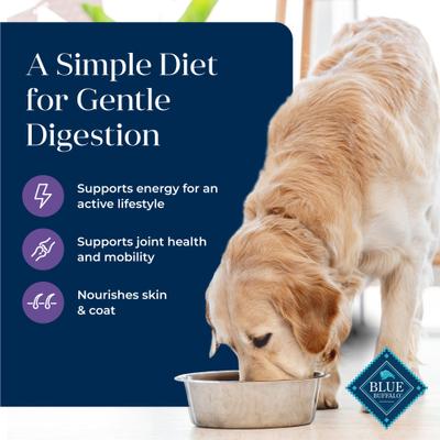 Show full view: Blue Buffalo Basics Skin & Stomach Care Turkey & Potato Recipe Senior Dry Dog Food, 4-lb bag slide 4 of 12