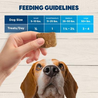 Show full view: Blue Buffalo BeneBars Chicken & Apple Digestive Support with Prebiotic Fiber Dog Treats, 9-oz bag slide 9 of 11