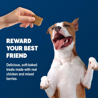 Show full view: Blue Buffalo Benebars Immune Support, Chicken & Mixed Berries Natural Dog Treats, 9-oz bag slide 5 of 11