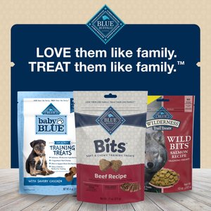 Blue Buffalo Blue Bits Tender Beef Recipe Soft-Moist Training Dog Treats, 4-oz bag