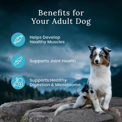 Show full view: Blue Buffalo Blue Wilderness Premier Blend with Meaty Cuts Chicken Adult Dry Dog Food, 24-lb bag slide 8 of 11