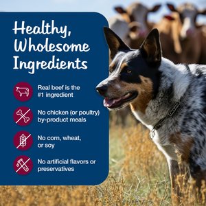 Blue Buffalo Blue’s Stew Hearty Beef Stew Grain-Free Canned Dog Food, 12.5-oz, case of 12