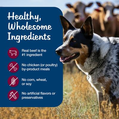 Show full view: Blue Buffalo Blue’s Stew Hearty Beef Stew Grain-Free Canned Dog Food, 12.5-oz, case of 12 slide 7 of 12