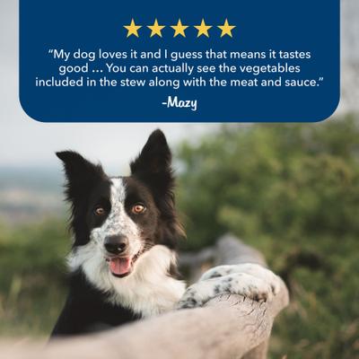 Show full view: Blue Buffalo Blue's Stews Grain-Free Chicken & Beef Variety Pack Adult Wet Dog Food, 12.5-oz can, case of 12 slide 7 of 8