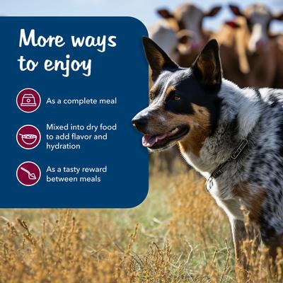 Show full view: Blue Buffalo Blue's Stews Grain-Free Chicken & Beef Variety Pack Adult Wet Dog Food, 12.5-oz can, bundle of 24  slide 6 of 8