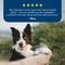 Show in main carousel: Blue Buffalo Blue's Stews Grain-Free Chicken & Beef Variety Pack Adult Wet Dog Food, 12.5-oz can, bundle of 24  slide 7 of 8