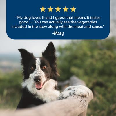 Show full view: Blue Buffalo Blue's Stews Grain-Free Chicken & Beef Variety Pack Adult Wet Dog Food, 12.5-oz can, bundle of 24  slide 7 of 8