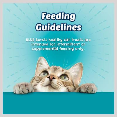 Show full view: Blue Buffalo Bursts with Savory Seafood Cat Treats, 12-oz tub slide 7 of 11