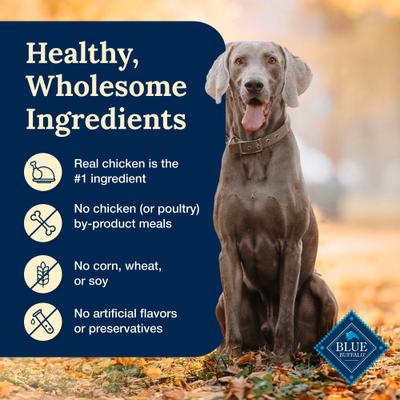 Show full view: Blue Buffalo Delectables Chicken Dinner Natural Wet Dog Food 3-oz pouch, case of 24 slide 7 of 11