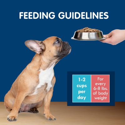 Show full view: Blue Buffalo Delights Natural Adult Small Breed Wet Dog Food, Variety Pack, Chicken, Prime Rib & NY Strip Cuts in Gravy 3.5-oz cups, case of 24 slide 5 of 6