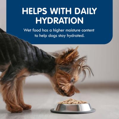 Show full view: Blue Buffalo Delights Natural Adult Small Breed Wet Dog Food, Variety Pack, Prime Rib, NY Strip, & Filet Mignon Cuts in Gravy 3.5-oz cups, case of 24 slide 4 of 7