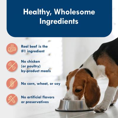 Show full view: Blue Buffalo Divine Delights Filet Mignon Flavor Pate Dog Food Trays, 3.5-oz, case of 12 slide 7 of 12