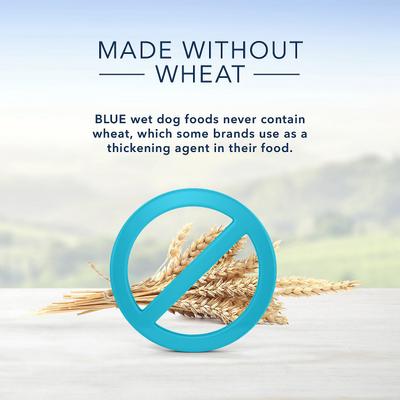 Show full view: Blue Buffalo Divine Delights Gravy Variety Pack Filet Mignon & NY Strip Flavor Dog Food Trays, 3.5-oz tray, bundle of 24  slide 6 of 9