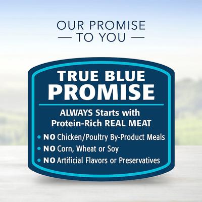 Show full view: Blue Buffalo Divine Delights Gravy Variety Pack Filet Mignon & NY Strip Flavor Dog Food Trays, 3.5-oz tray, bundle of 24  slide 7 of 9