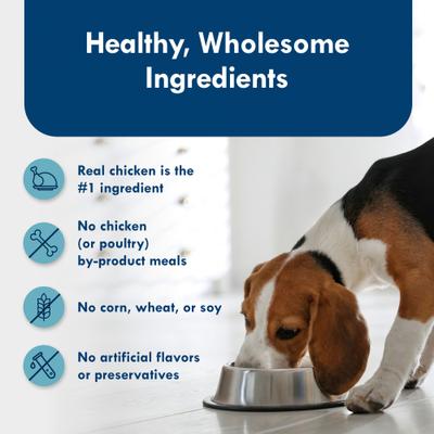 Show full view: Blue Buffalo Divine Delights Grilled Chicken Flavor Pate Dog Food Trays, 3.5-oz, case of 12 slide 7 of 12