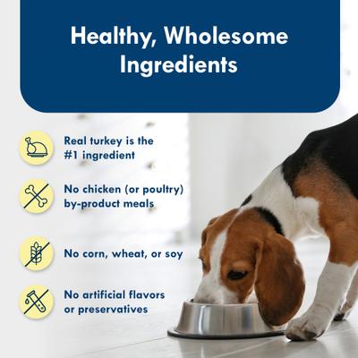 Show full view: Blue Buffalo Divine Delights Roasted Turkey Flavor Pate Dog Food Trays, 3.5-oz, case of 12 slide 7 of 12