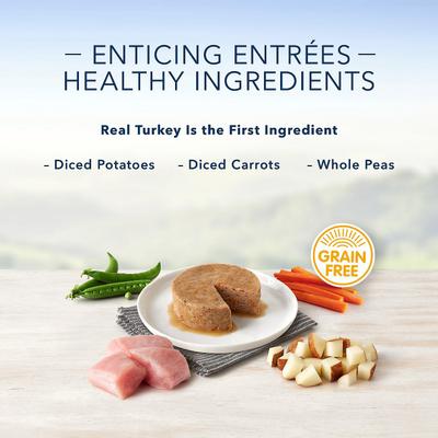 Show full view: Blue Buffalo Divine Delights Roasted Turkey Flavor Pate Dog Food Trays, 3.5-oz tray, bundle of 24  slide 5 of 12