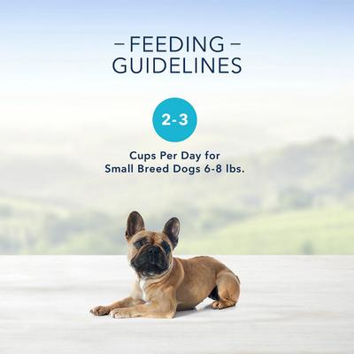 Show full view: Blue Buffalo Divine Delights Rotisserie Chicken Flavor in Hearty Gravy Small Breed Wet Dog Food, 3.5-oz tray, bundle of 24  slide 6 of 12