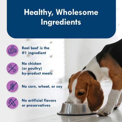 Show full view: Blue Buffalo Divine Delights Top Sirloin Flavor Pate Dog Food Trays, 3.5-oz, case of 12 slide 7 of 12