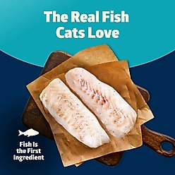 Blue Buffalo Freedom Adult Fish Recipe Grain-Free Dry Cat Food, 11-lb bag slide 2 of 9