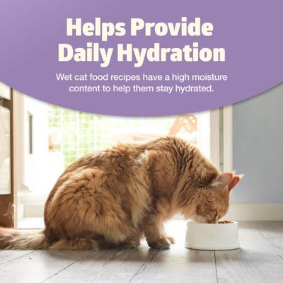 Show full view: Blue Buffalo Freedom Indoor Adult Chicken Recipe Grain-Free Canned Cat Food, 5.5-oz, case of 24 slide 8 of 12