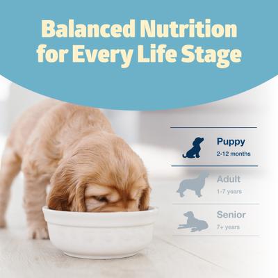 Show full view: Blue Buffalo Freedom Puppy Grain-Free Chicken & Potatoes Dry Dog Food, 11-lb bag slide 8 of 11