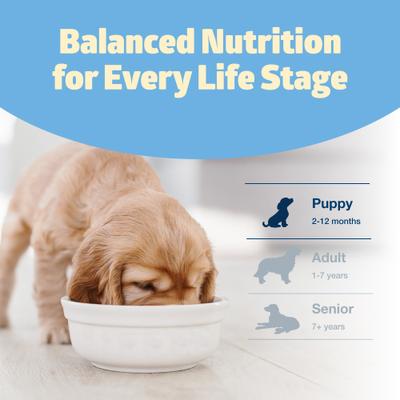 Show full view: Blue Buffalo Freedom Puppy Grain-Free Chicken & Potatoes Dry Dog Food, 4-lb bag slide 8 of 11