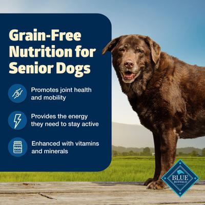 Show full view: Blue Buffalo Freedom Senior Grain-Free Chicken & Potatoes Dry Dog Food, 11-lb bag slide 3 of 11