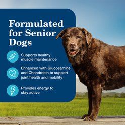 Blue Buffalo Homestyle Recipe Chicken Dinner with Garden Vegetables Senior Wet Dog Food, 12.5-oz, case of 12 slide 2 of 8