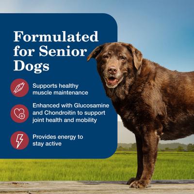 Show full view: Blue Buffalo Homestyle Recipe Senior Natural Ingredients Beef Dinner with Garden Vegetables Canned Wet Dog Food, 12.5-oz can, 12 count slide 5 of 11