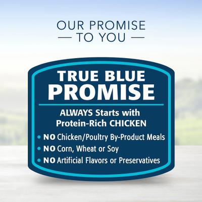 Show full view: Blue Buffalo Homestyle Recipe Small Breed Chicken Dinner Canned Dog Food, 5.5-oz, case of 24 slide 8 of 10