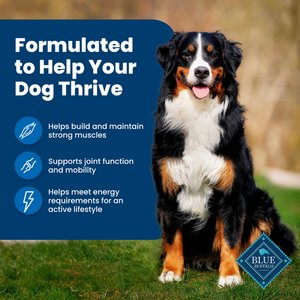 Blue Buffalo Life Protection Formula Adult Chicken & Brown Rice Recipe Dry Dog Food, 15-lb bag
