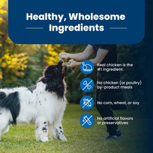 Blue Buffalo Life Protection Formula Adult Chicken & Brown Rice Recipe Dry Dog Food, 15-lb bag