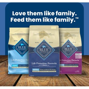 Blue Buffalo Life Protection Formula Adult Chicken & Brown Rice Recipe Dry Dog Food, 15-lb bag