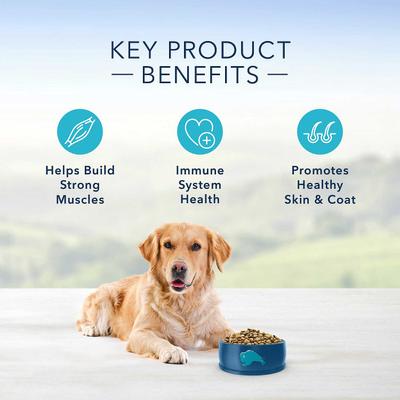 Blue Buffalo Life Protection Formula Adult Chicken & Brown Rice Recipe Dry Dog Food