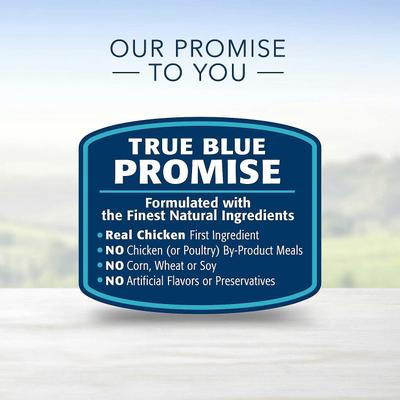 Blue Buffalo Life Protection Formula Adult Chicken & Brown Rice Recipe Dry Dog Food