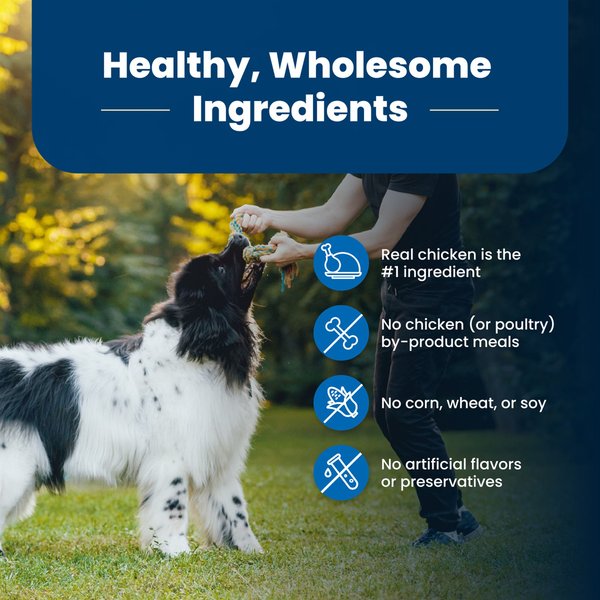 Blue Buffalo Life Protection Formula Adult Chicken & Brown Rice Recipe Dry Dog Food