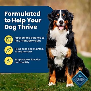 Blue Buffalo Life Protection Formula Healthy Weight Adult Chicken & Brown Rice Recipe Dry Dog Food, 30-lb bag slide 4 of 9