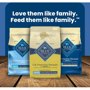 Blue Buffalo Life Protection Formula Healthy Weight Adult Chicken & Brown Rice Recipe Dry Dog Food, 30-lb bag