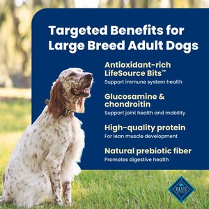 Blue Buffalo Life Protection Formula Large Breed Adult Chicken & Brown Rice Recipe Dry Dog Food, 30-lb bag